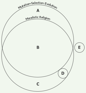 Id Diagram